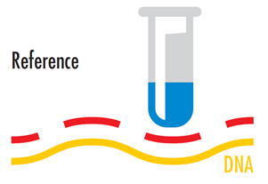 Reference DNA