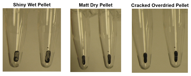 Examples of wet, dry and overdried beads