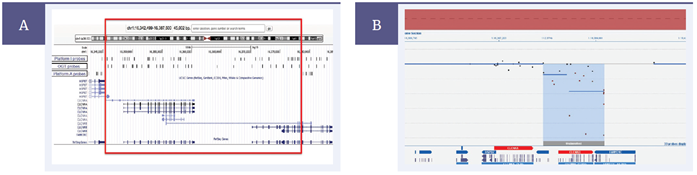 Predictive comparison of probe locations across Bartter syndrome-associated genes, CLCNKA and CLCNKB