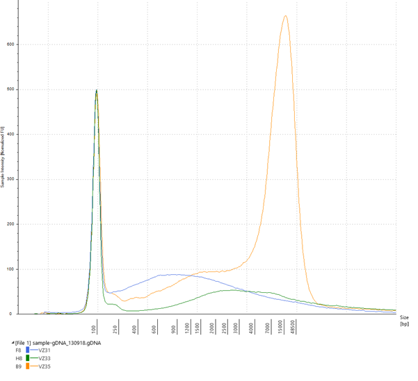 Illustrating the differences in quality of input DNA