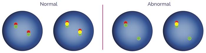 Deletion/fusion probes