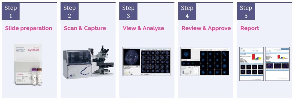 ASI End-to-end automated FISH analysis solution, simplified