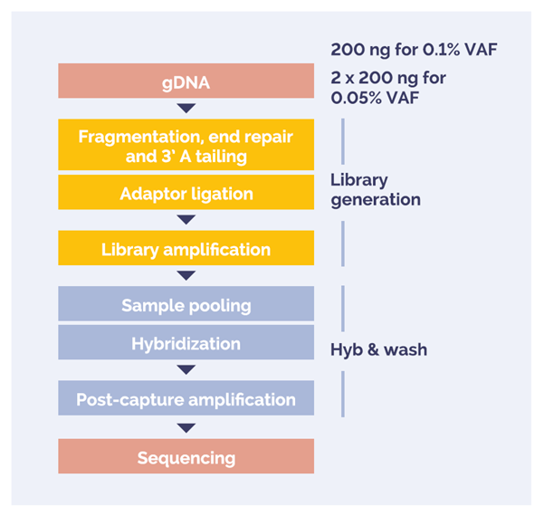 Figure 1: DNA to sequencer in 1.5 days with minimal handling time.