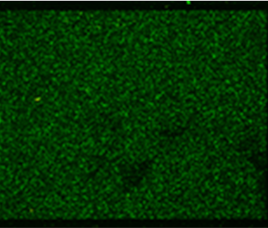 9. Low Cy5 Signal Main Image