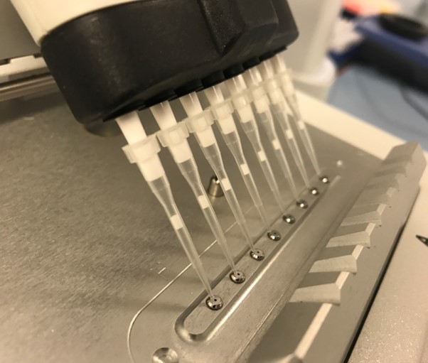 1. DNA Sample QC Main Image