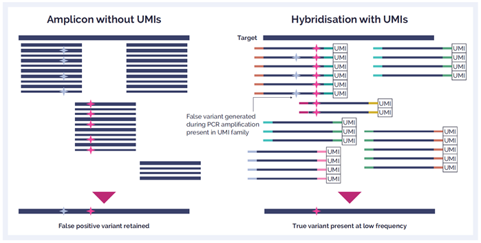 Combinatorial indexing vs. non redundant indexing to prepare sequencing libraries