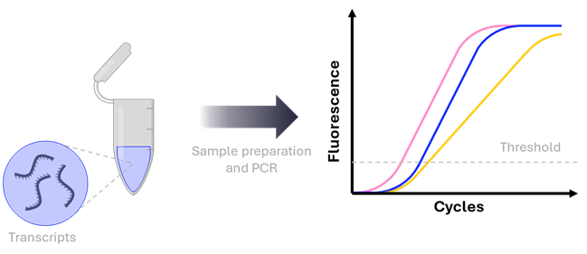 Figure 2. PCR-based detection of MRD