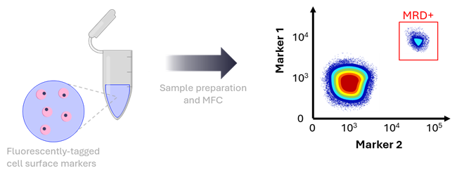 Figure 3. MFC-based detection of MRD