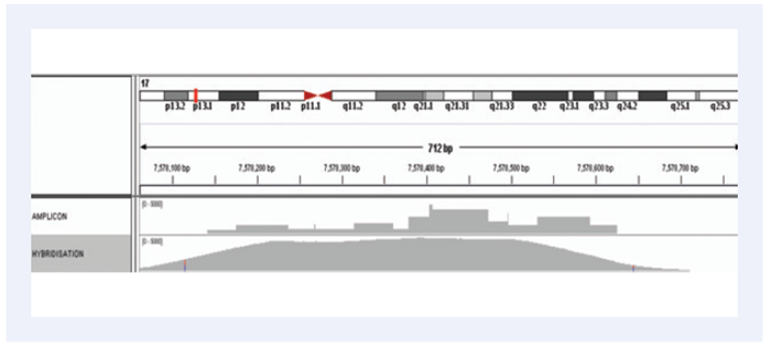 Minimal variation in amplification efficiency