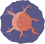 Solid tumour