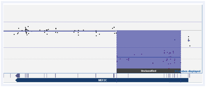 CytoSure Constitutional v3 array probes across the MEF2C gene displayed using CytoSure Interpret Software