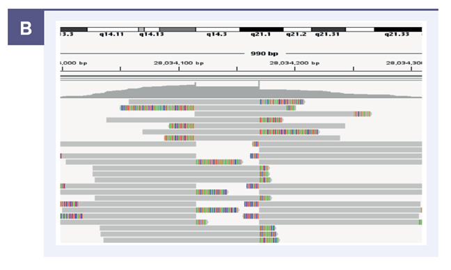 Figure 4b: Panel B shows a subset of the supporting clipped reads.