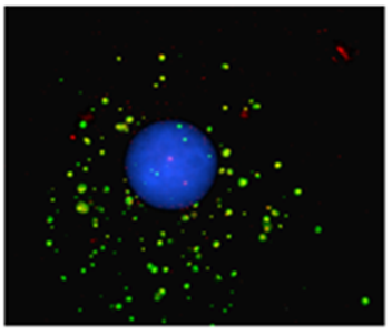 Light damaged probe